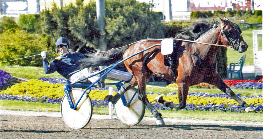 kaum zu glauben_iceland!!!!!